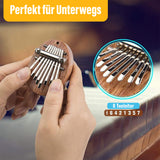 TRENDSDEALS NAMBA - das einzigartige Instrument für die Weihnachtszeit